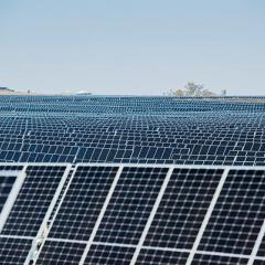 Queensland shines light on the grid